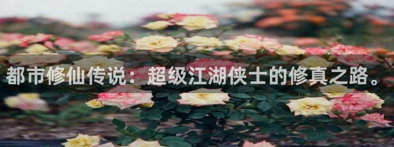 香蕉漫画免：都市修仙传说：超级江湖侠士的修真之路。