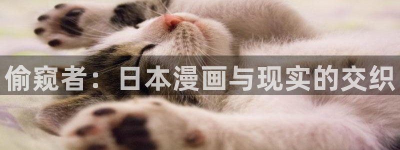 香蕉文化漫画阅读入口：偷窥者：日本漫画与现实的交织