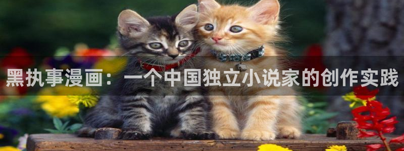 羞羞香蕉漫画：黑执事漫画：一个中国独立小说家的创作实践