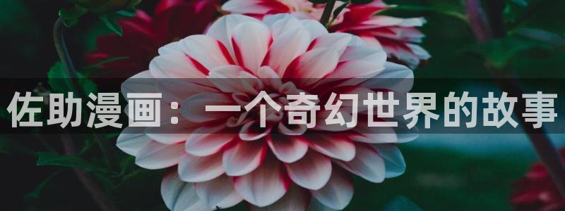 香蕉漫画免费观看入口：佐助漫画：一个奇幻世界的故事
